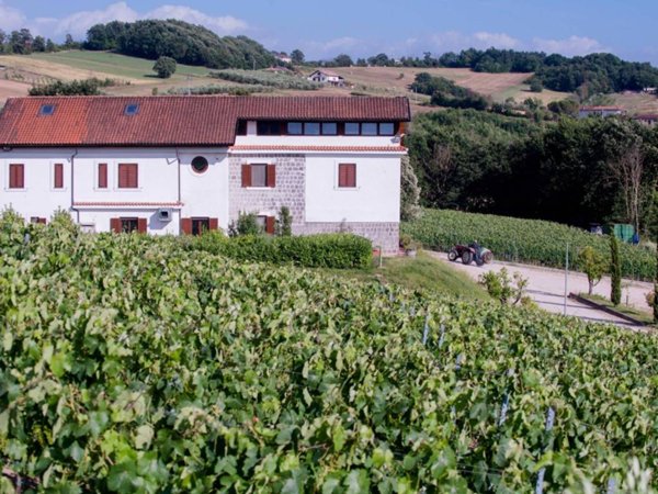 casa indipendente in vendita ad Alvignano