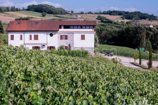 casa indipendente in vendita ad Alvignano