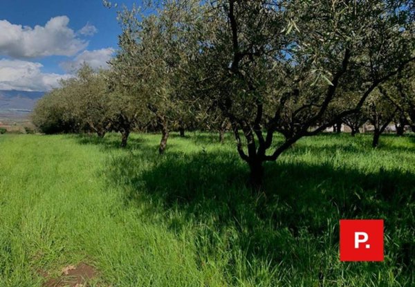 terreno agricolo in vendita ad Alvignano
