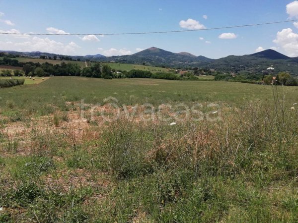 terreno agricolo in vendita ad Alvignano