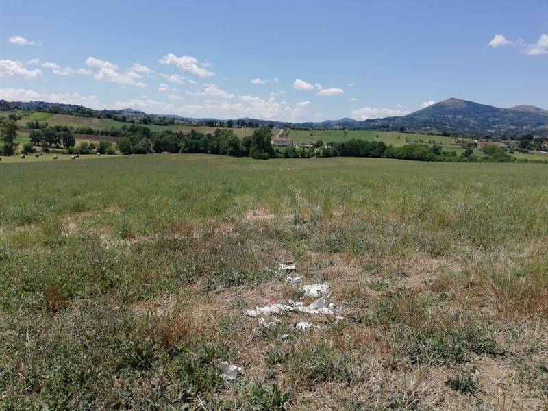 terreno agricolo in vendita ad Alvignano