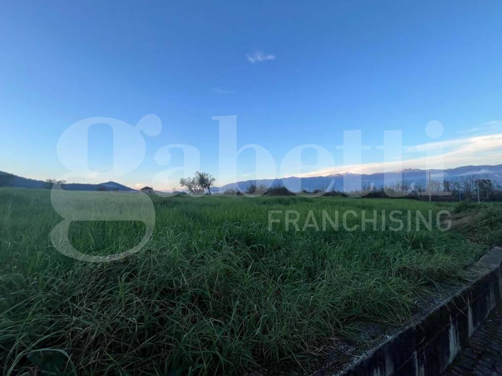 terreno agricolo in vendita ad Alvignano