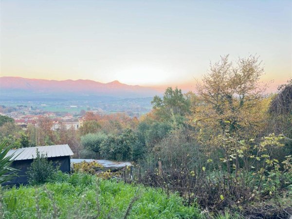terreno agricolo in vendita ad Alvignano