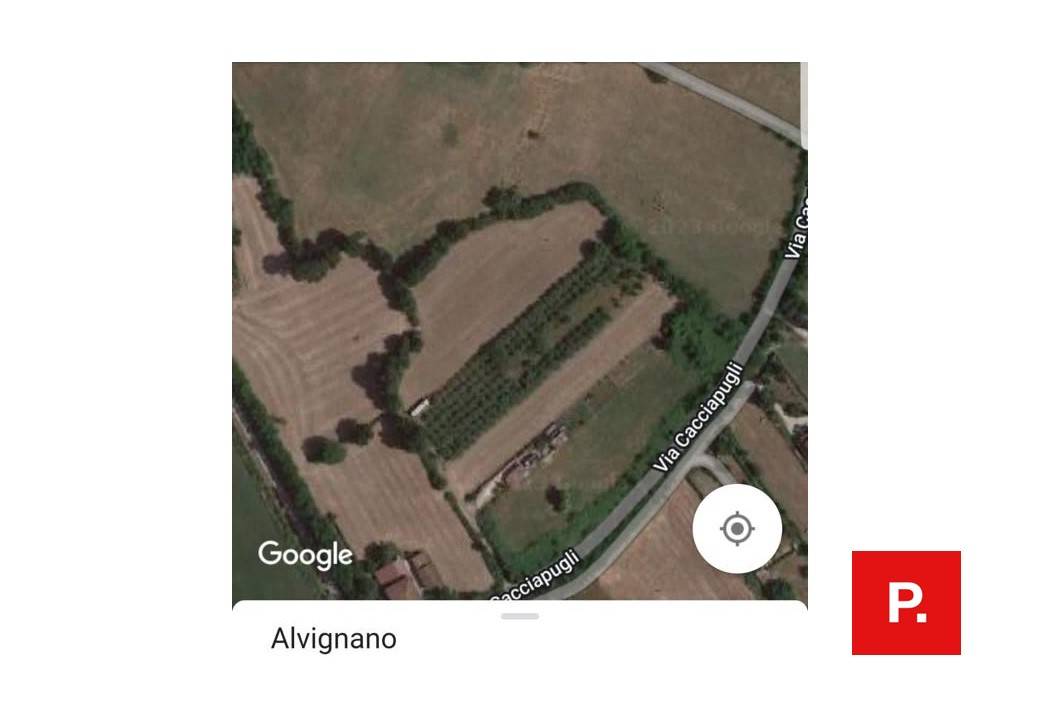 terreno agricolo in vendita ad Alvignano