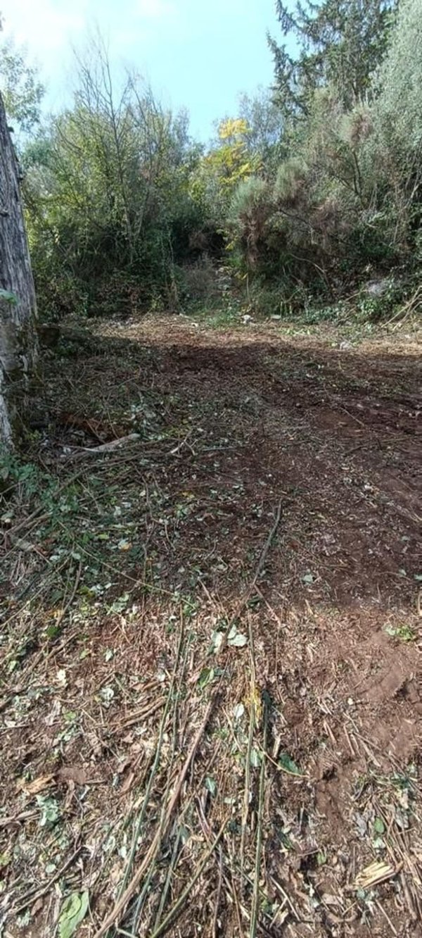 quadrivano in vendita ad Alvignano