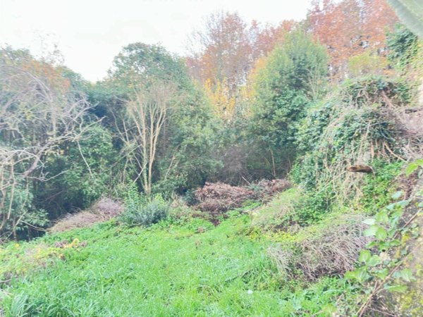 terreno agricolo in vendita ad Alvignano