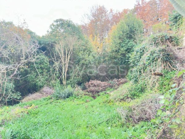 casa indipendente in vendita ad Alvignano