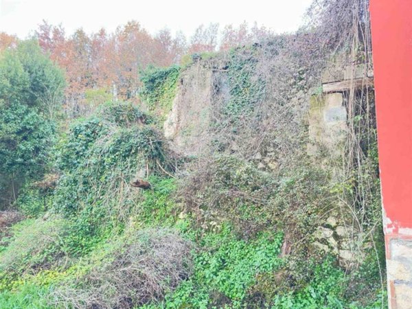 terreno agricolo in vendita ad Alvignano