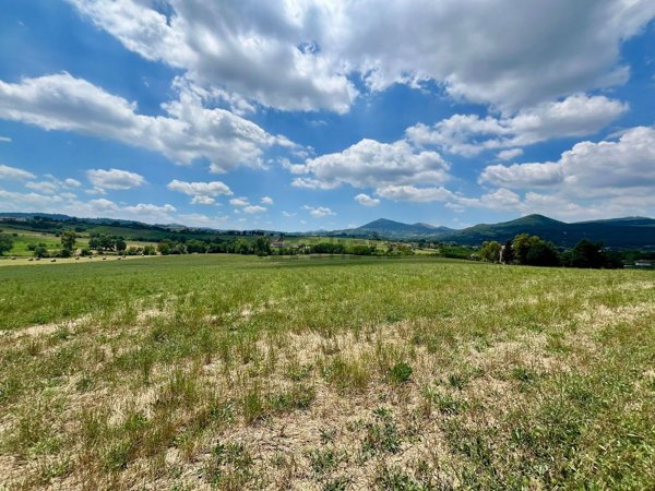 terreno agricolo in vendita ad Alvignano