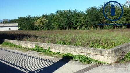 terreno edificabile in vendita ad Alvignano in zona Annunziata