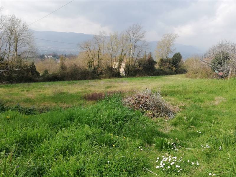 casa indipendente in vendita ad Alvignano