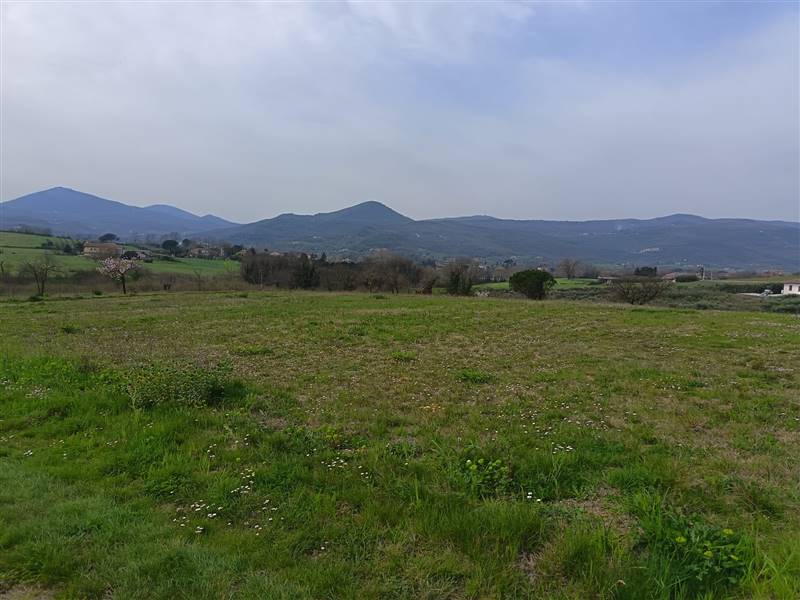 terreno agricolo in vendita ad Alvignano