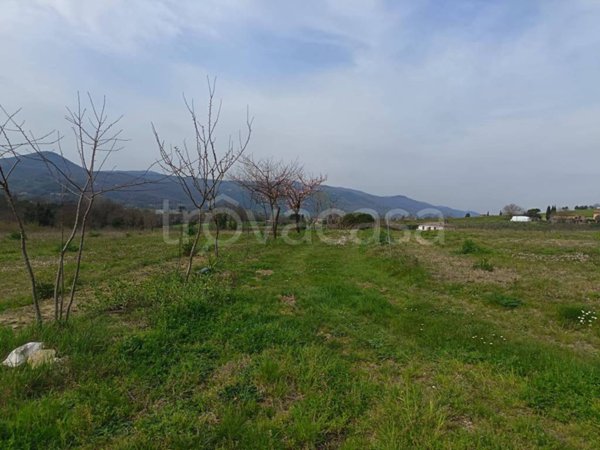 terreno agricolo in vendita ad Alvignano