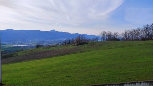 casa indipendente in vendita ad Alvignano