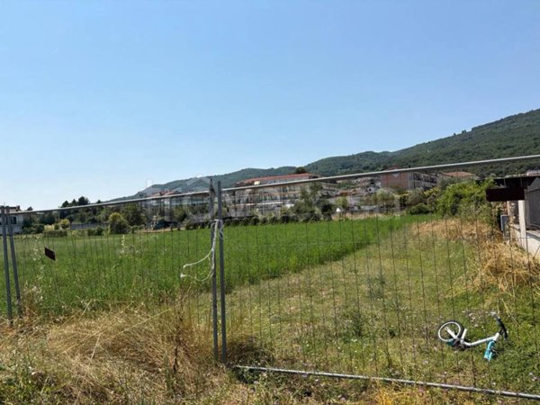 terreno agricolo in vendita ad Alvignano in zona Annunziata
