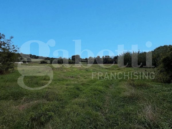 terreno agricolo in vendita ad Alvignano in zona Annunziata