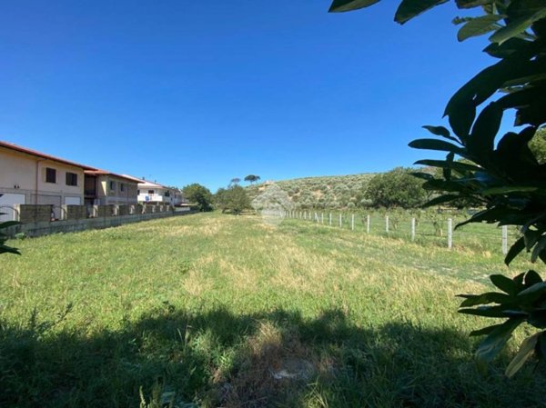 terreno agricolo in vendita ad Arienzo