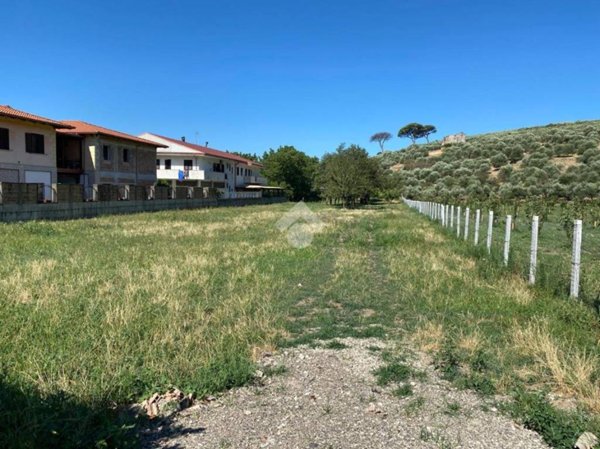 terreno agricolo in vendita ad Arienzo