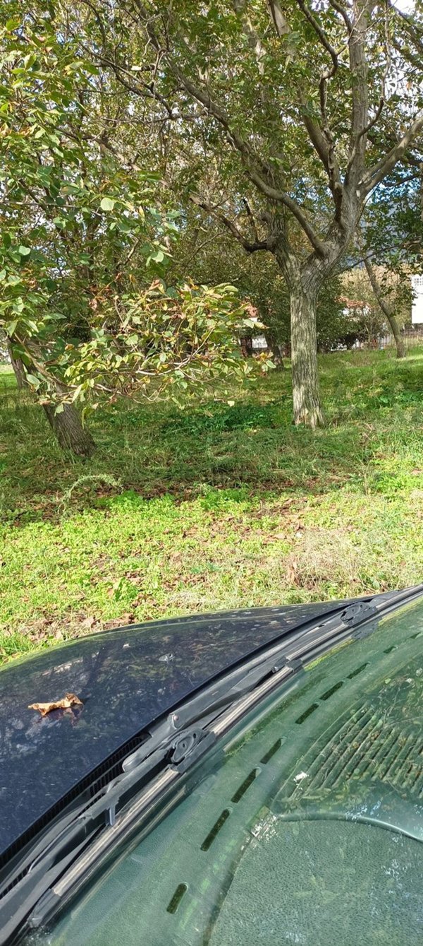 terreno edificabile in vendita ad Arienzo