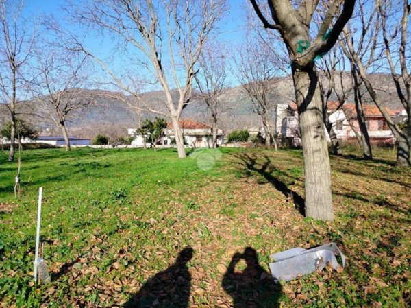 terreno agricolo in vendita ad Arienzo