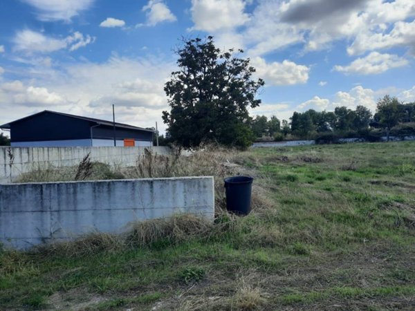 terreno agricolo in vendita ad Aversa