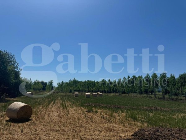 terreno agricolo in vendita a Baia e Latina