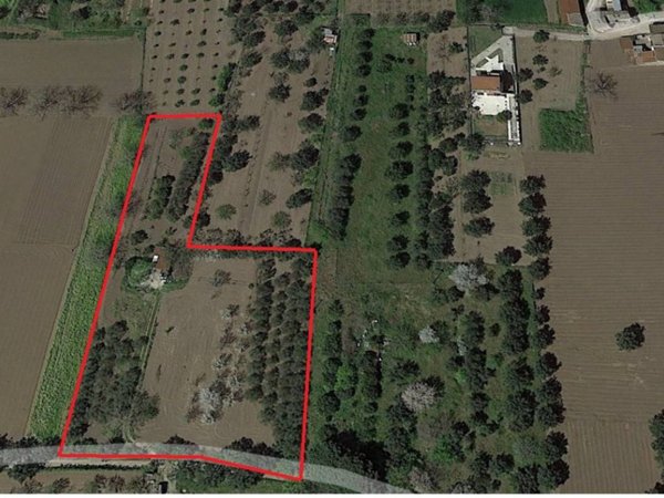 terreno agricolo in vendita a Bellona