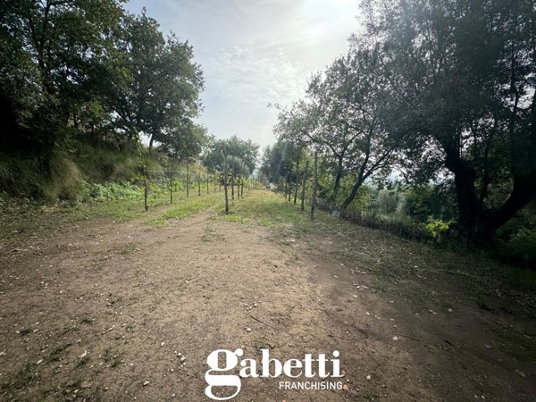 terreno agricolo in vendita a Bellona