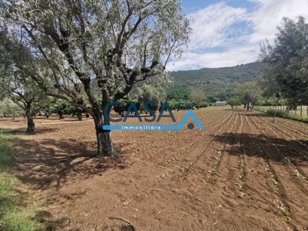 ufficio in vendita a Bellona