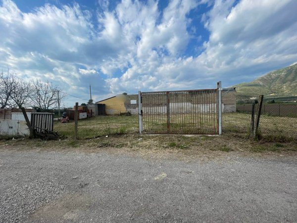 terreno agricolo in vendita a Bellona
