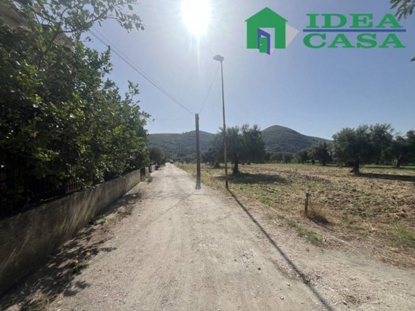 terreno agricolo in vendita a Bellona