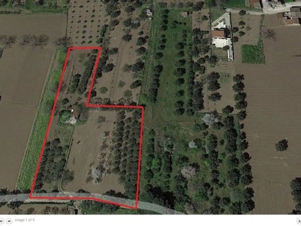 terreno agricolo in vendita a Bellona