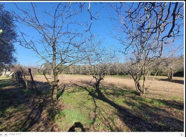 terreno agricolo in vendita a Bellona