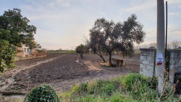 terreno agricolo in vendita a Bellona