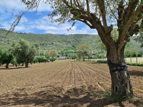 terreno agricolo in vendita a Bellona