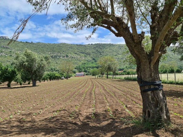 terreno edificabile in vendita a Bellona