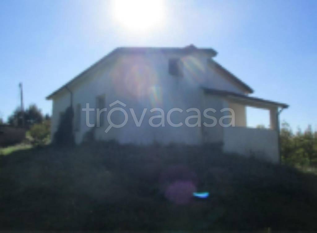 terreno agricolo in vendita a Caianello