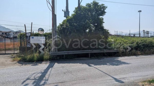 terreno agricolo in vendita a Caianello in zona Montano