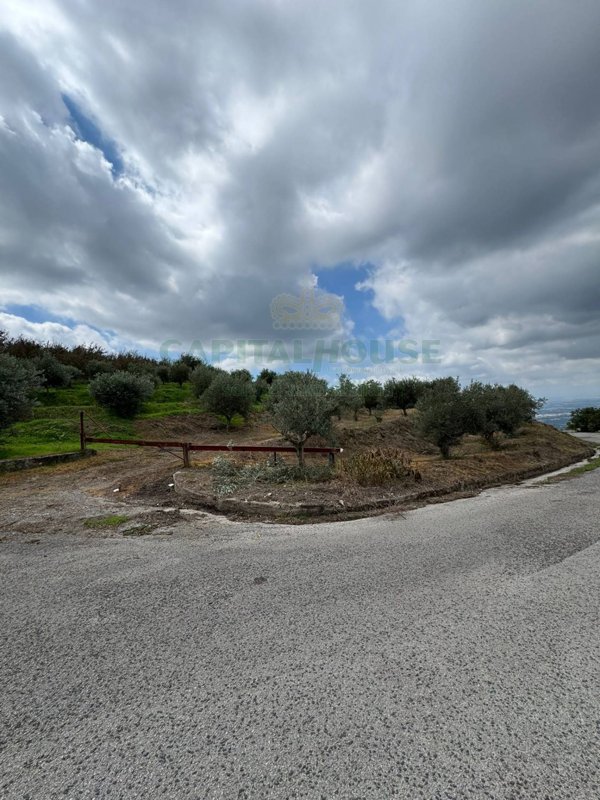 terreno agricolo in vendita a Caianello