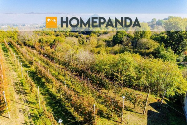 terreno agricolo in vendita a Caianello