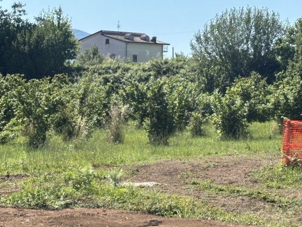 terreno edificabile in vendita a Caianello