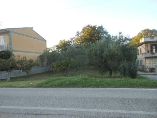terreno agricolo in vendita a Caianello