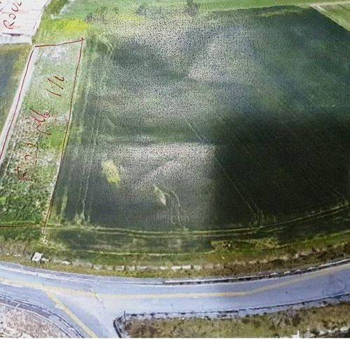 terreno agricolo in vendita a Caiazzo