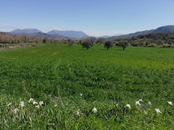 terreno agricolo in vendita a Caiazzo