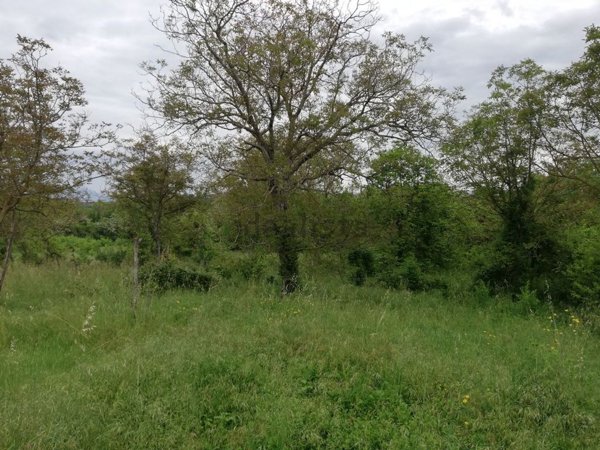 quadrivano in vendita a Caiazzo