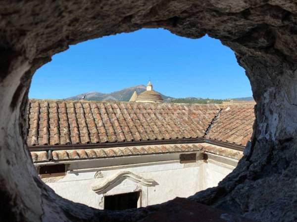 immagine annuncio 0 di 15