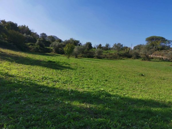 terreno agricolo in vendita a Caiazzo