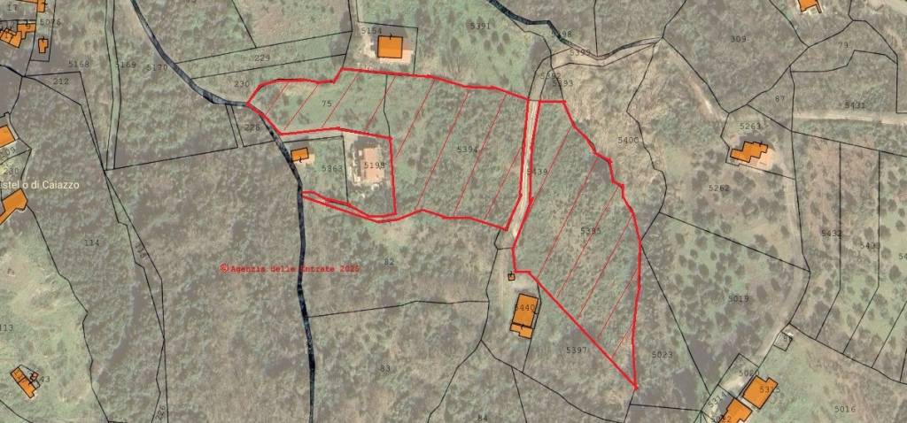 terreno agricolo in vendita a Caiazzo