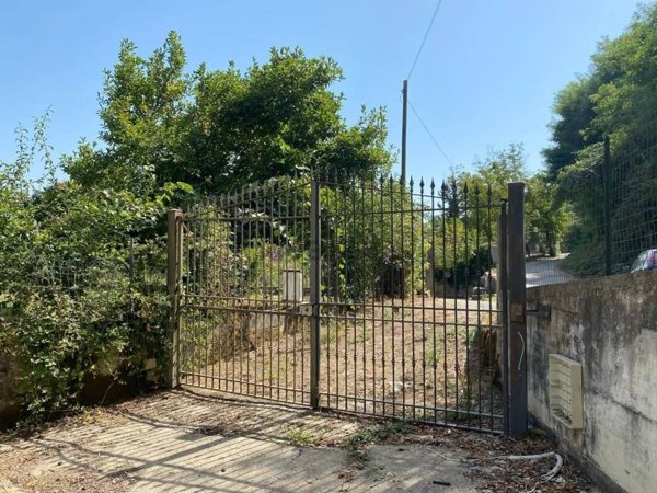 esavano in vendita a Caiazzo