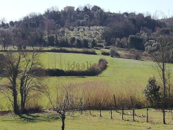 terreno agricolo in vendita a Caiazzo